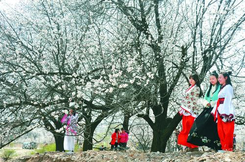 007球探足球旧版免费下载 - 经典界面展示